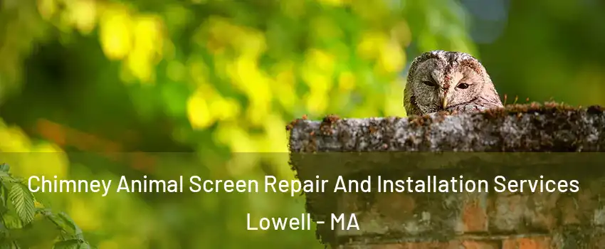 Chimney Animal Screen Repair And Installation Services Lowell - MA