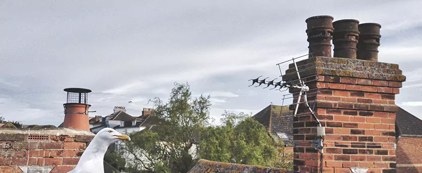 Chimney Cleaning And Restoration in Lowell, Massachusetts